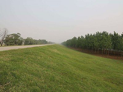 草皮釘在高原邊坡草皮鋪筑施工應用